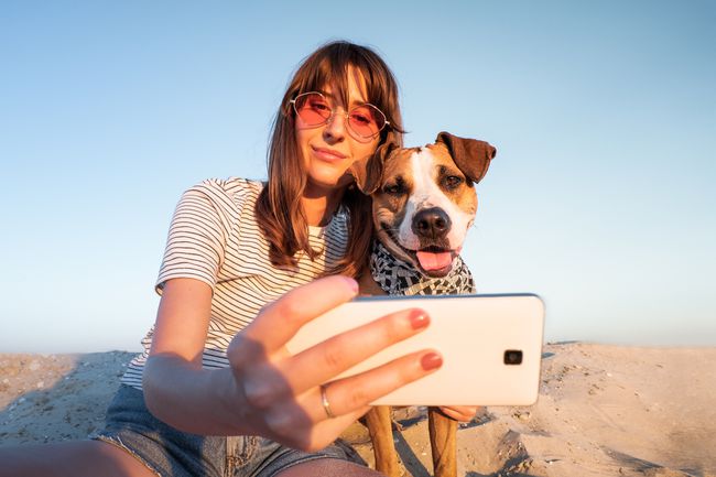 澄んだ空を背景にビーチでスマートフォンを介して犬と一緒に自分撮りをしている若い女性のローアングルビュー