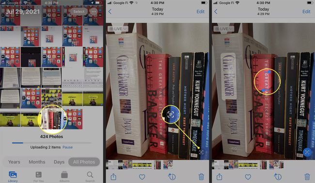 Texto del lomo de un libro resaltado con la herramienta Live Text en la aplicación Fotos.