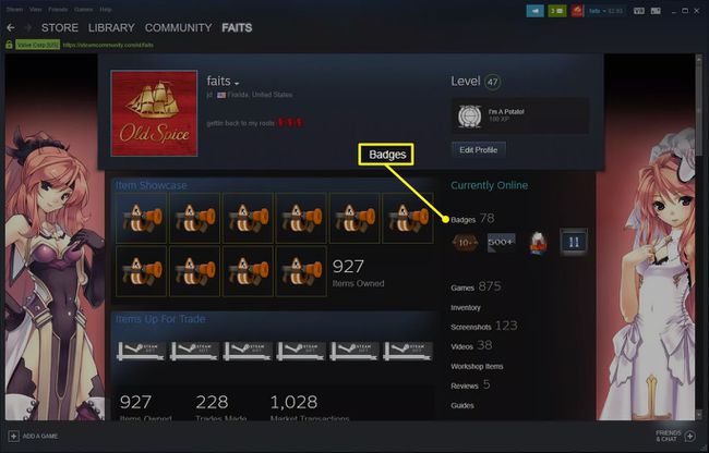 Steam profil so zvýraznenými odznakmi