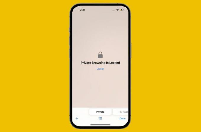 iOS 17 でロックされたプライベート ブラウジングのスクリーンショット