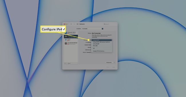 Opciones de IPv4 en una Mac.