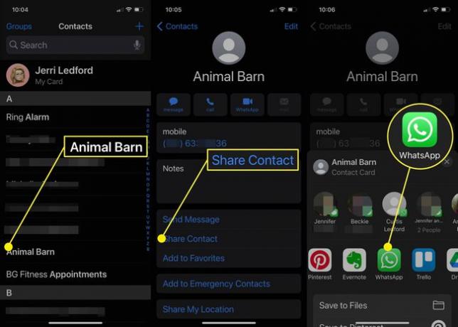 Екранни снимки на споделяне на контакт от iPhone в WhatsApp.