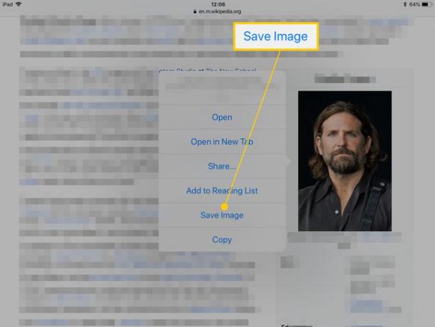 iPadのSafari内の画像で、[画像の保存]が強調表示されています。