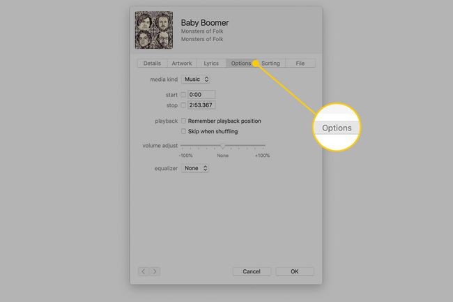 Guia Opções nas informações da música no iTunes