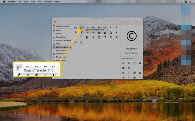Nabídka Emoji a symboly na Macu se zvýrazněným polem Copy Character Info