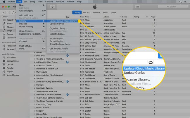 iTunes con la ruta para actualizar la biblioteca de música de iCloud resaltada