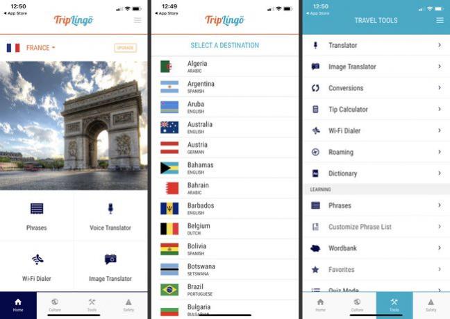 Triplingo iOS-App