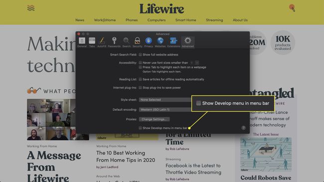 Captura de pantalla de la ventana de Preferencias de Safari con el elemento " Mostrar menú Desarrollar" resaltado