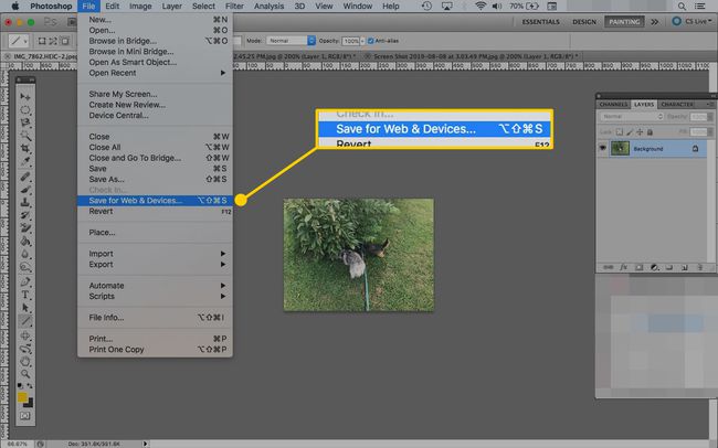 Ein in Photoshop geöffnetes Bild mit markiertem Menüelement Für Web und Geräte speichern
