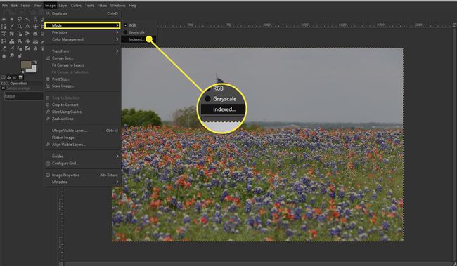 Posnetek zaslona GIMP z označeno postavko menija Indeksirano
