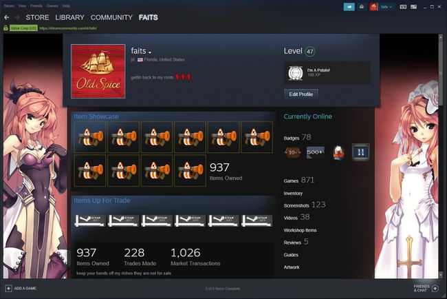 Bir Steam profilinin ekran görüntüsü.