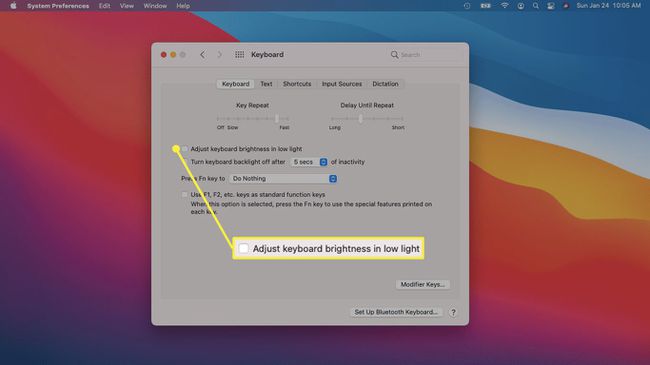 დაარეგულირეთ კლავიატურის სიკაშკაშე დაბალ განათებაში, რომელიც შემოწმებულია Mac კლავიატურის პარამეტრებში.