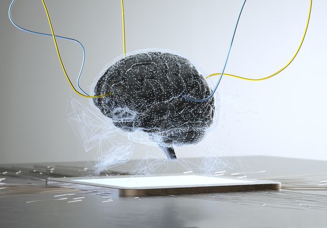 สมองมนุษย์ดิจิทัลหุ้มด้วยสายเคเบิลเครือข่าย