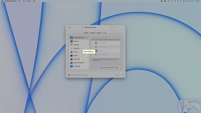 ميكروفون مميز في macOS Security & Privacy
