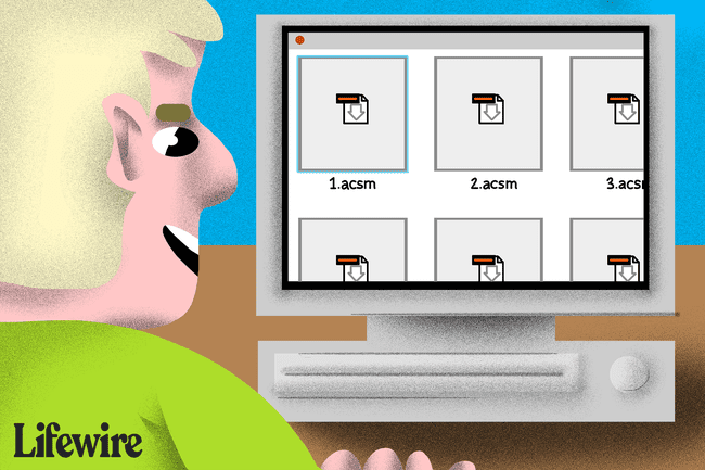 Ilustração de uma pessoa olhando para arquivos ACSM em um monitor de computador.