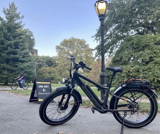 RadCity 6 Plus eBikeは、公園のキックスタンドに寄りかかっていました。 