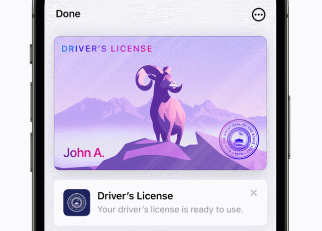 iOS 15에서 사용할 수 있는 운전 면허증