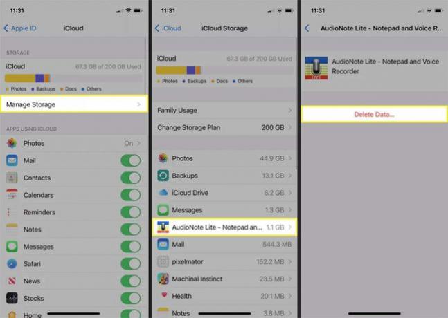 iCloud Storage y la opción de eliminar datos de una aplicación en un iPhone.