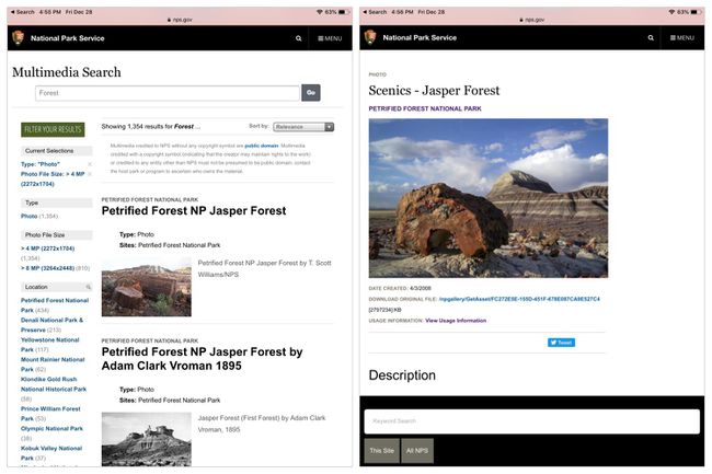 لقطتا شاشة: (يسار) ابحث عن " غابة" في موقع National Park Service (يمين) تفاصيل صورة Jasper Forest