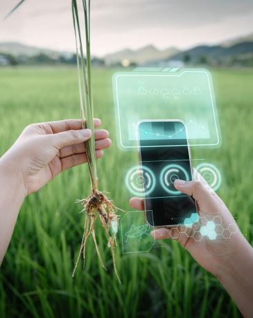 식물 질병 분석을 위해 가상 현실 인공 지능(AI)과 함께 스마트 폰을 사용하는 농장 노동자