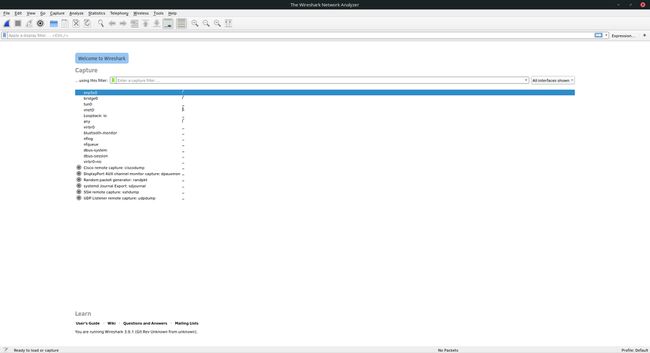 Wireshark ejecutándose en Linux