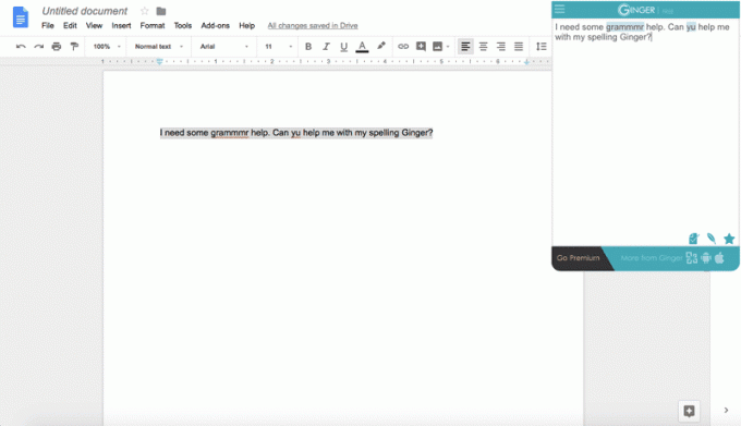 Foto der Ginger-App, die in einem Google-Dokument funktioniert