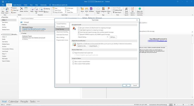 Meiliturbe vaatamine Outlooki usalduskeskuses.