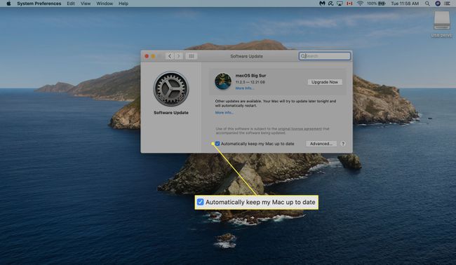 Macソフトウェアアップデートで自動アップデートをチェックします。