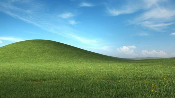 พื้นหลังทีม Windows XP