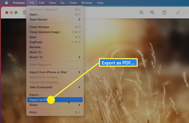 Als PDF in macOS exportieren