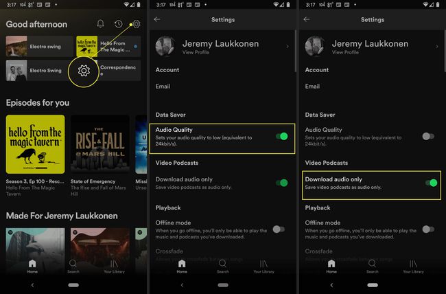 Spotify-appen med inställningsväxel, växling av ljudkvalitet och växling av endast ljud för nedladdning markerad