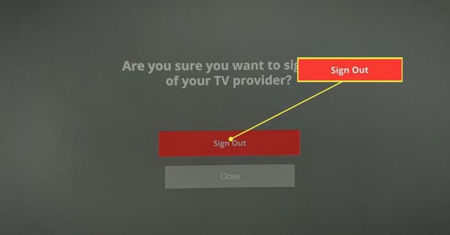 Fire Stick uygulaması çıkış ekranı.