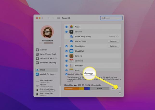 La opción Administrar para el almacenamiento de iCloud en macOS.