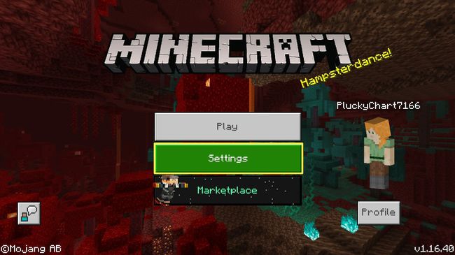פתח את Minecraft (אם הוא לא נפתח אוטומטית) ובחר הגדרות.