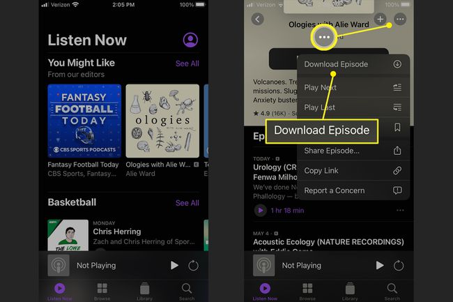 Meniul de descărcare a episodului din aplicația Apple Podcasturi