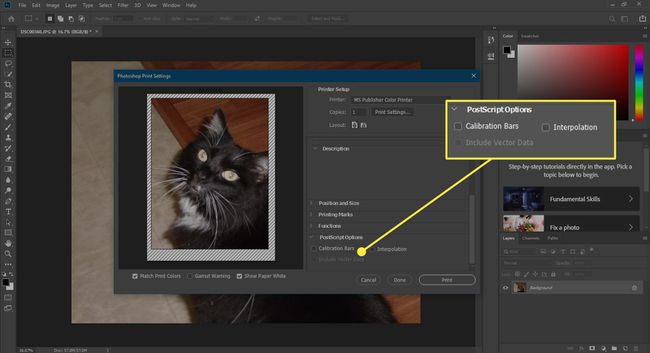 Snímek obrazovky tiskového okna aplikace Photoshop se zvýrazněnými možnostmi PostScript