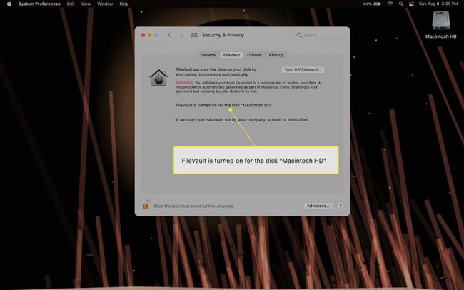 「FileVaultがオンになっています」というメッセージが表示されたFileVaultウィンドウ