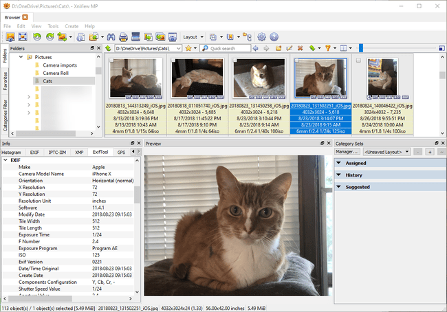 XnView MP mit exponierten EXIF-Daten