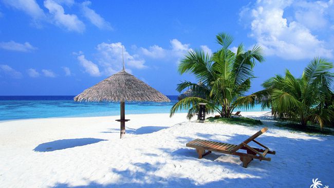 Papel tapiz de playa gratuito con playa de arena blanca con palmeras y una tumbona