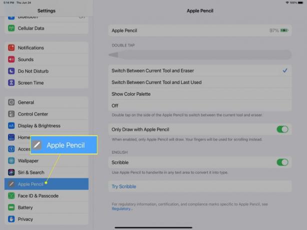 خيارات Apple Pencil Settings على iPadOS.
