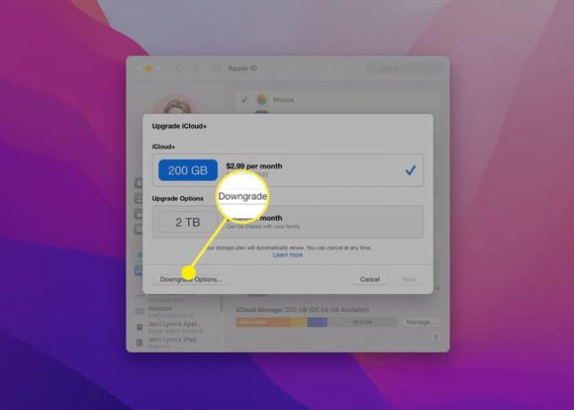 La opción de degradar el almacenamiento de iCloud en macOS.