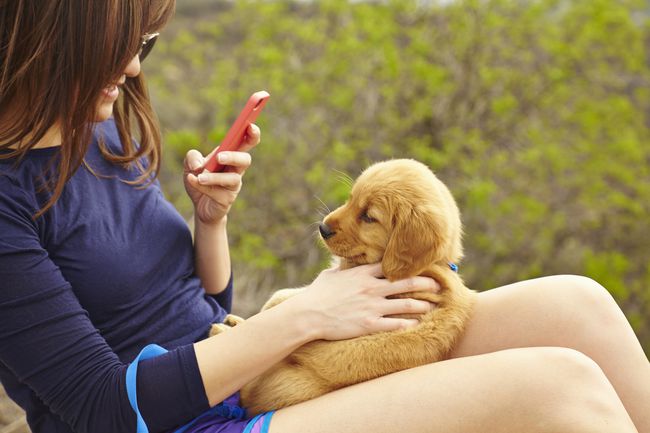 スマートフォンで子犬の写真を撮っている女性の画像。