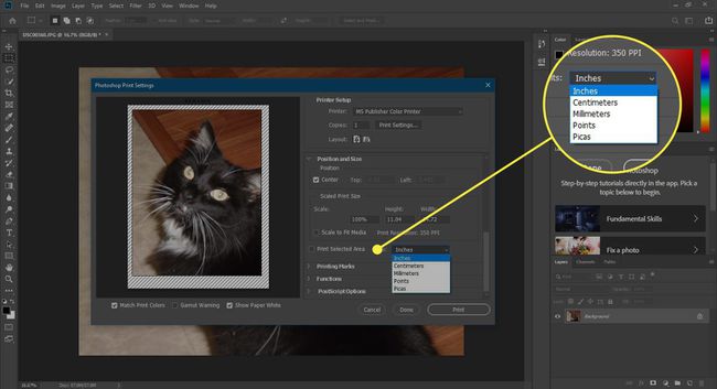 Снимок экрана окна печати Photoshop с выделенными параметрами печати выбранной области