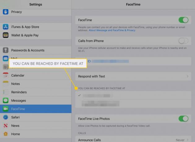 「FaceTimeで到達できます」という見出しが強調表示されたiPadのFaceTime設定