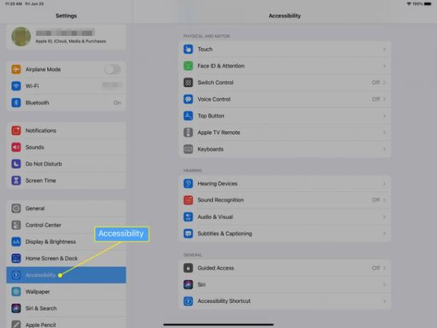 الشريط الجانبي لإعدادات iPad مع تحديد إمكانية الوصول