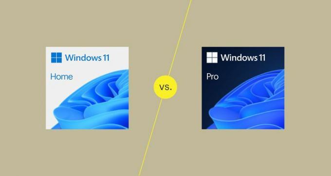 Windows 11 Home kontra Pro