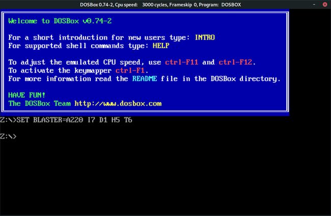 Janela do terminal DOSBox