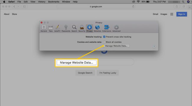 Botón Administrar datos del sitio web en Safari