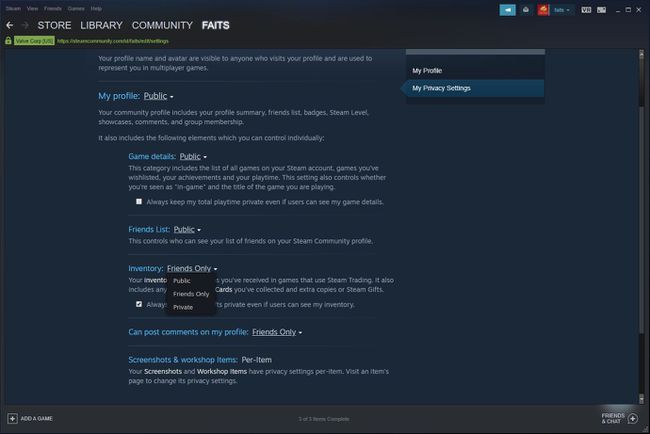 Steam gizlilik ayarları seçeneklerinin ekran görüntüsü.