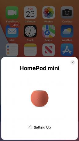 HomePod Mini seadistamise lõpetamise ootel.